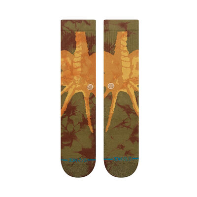 Face Hugger Crew Stance