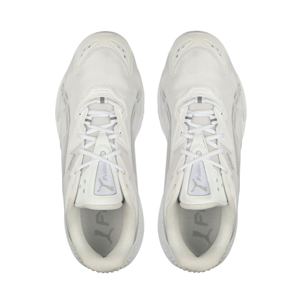 Inverse Parallel Puma  