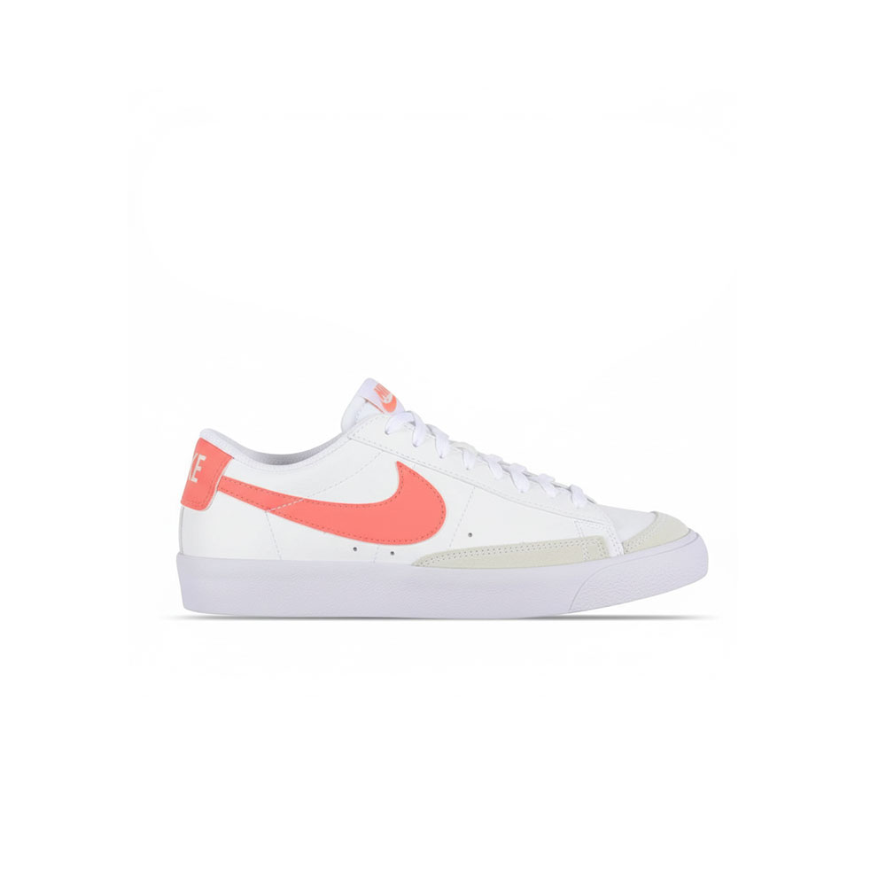 Blazer Low 77 Gs Nike MULTICOLOR 