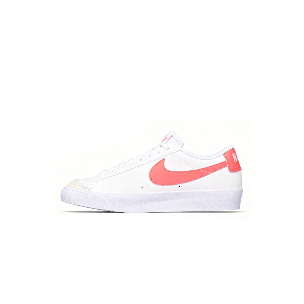 Blazer Low 77 Gs Nike MULTICOLOR 