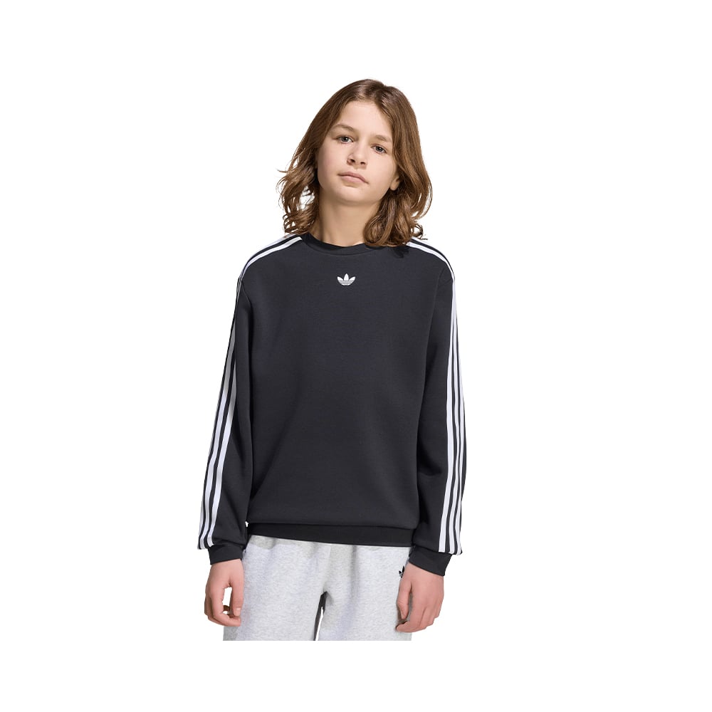 Pok&eacute;mon Loose Crew Adidas MULTICOLOR 
