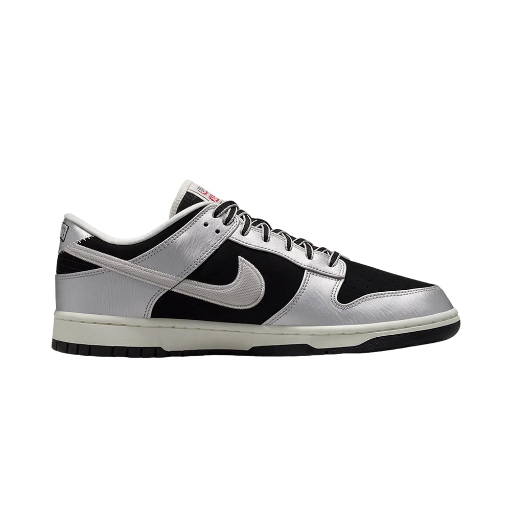 Nike Dunk Low Retro Nike  