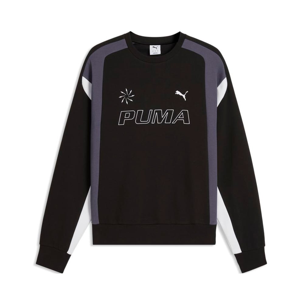 Future  Archive Black Puma MULTICOLOR 